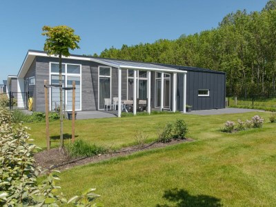Holiday park Chalet in Zeeland am Waldrand in Wemeldinge - Holiday park