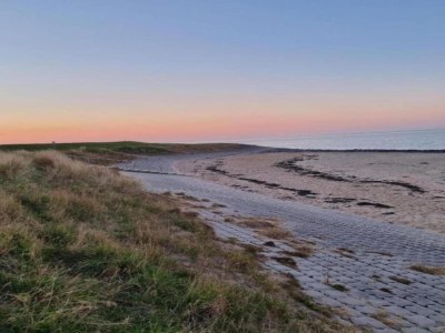 Holiday park Chalet in Zeeland am Waldrand - Environment photo 36