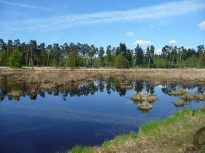 Holiday park Chalet im Parc de Kievit mit großem Garten - Environment photo 21