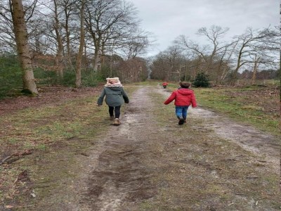 Holiday park Chalet im Parc de Kievit mit großem Garten - Environment photo 24