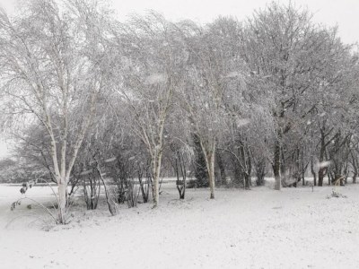 Holiday park Chalet im Parc de Kievit mit großem Garten - Environment photo 36