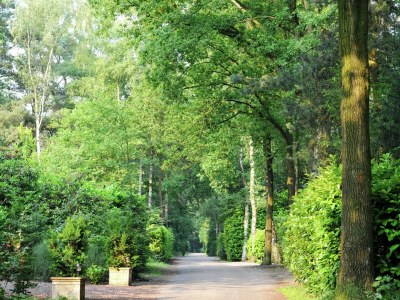 Holiday park Chalet in Parc de Kievit with Private Garden - Outdoor photo 6