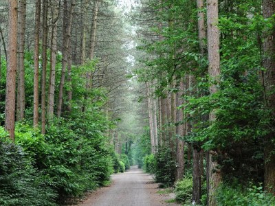 Holiday park Chalet in Parc de Kievit with Private Garden - Outdoor photo 7