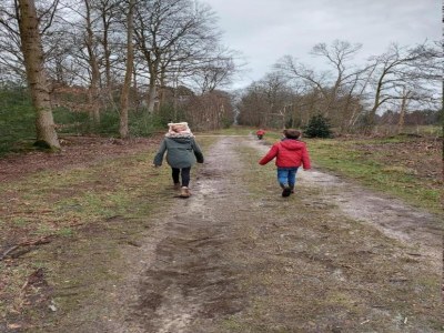 Holiday park Chalet in Parc de Kievit with Private Garden - Environment photo 27