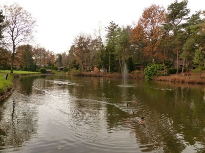 Holiday park Chalet in Parc de Kievit with Private Garden - Environment photo 31