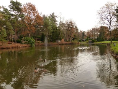 Holiday park Chalet in Parc de Kievit with Private Garden - Environment photo 36