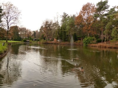 Holiday park Chalet im Parc de Kievit mit Garten - Environment photo 11