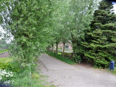 Holiday park Chalet im Parc de Kievit mit Garten - Environment photo 14