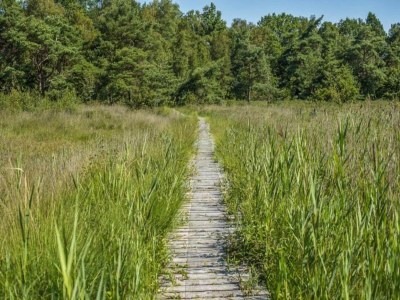 Holiday park Chalet im Parc de Kievit mit Garten - Environment photo 16