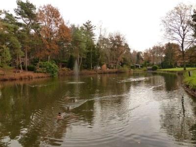 Holiday park Chalet in Holiday Park with Private Terrace - Environment photo 25