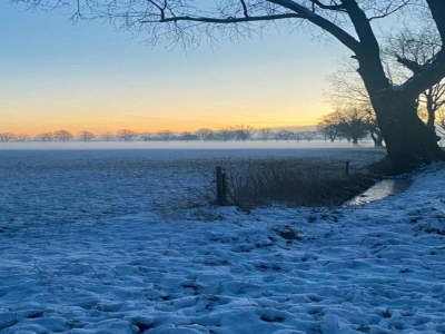 Holiday park Chalet in Holiday Park with Private Terrace - Environment photo 35