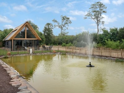 Holiday park Holiday Home with Pond View in Brabant - Outdoor photo 6