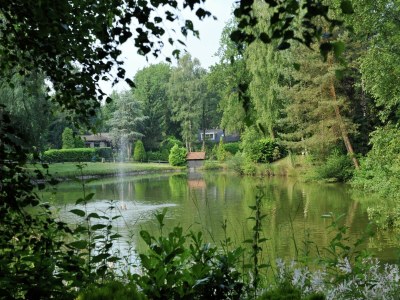 Holiday park Holiday Home with Pond View in Brabant - Environment photo 24