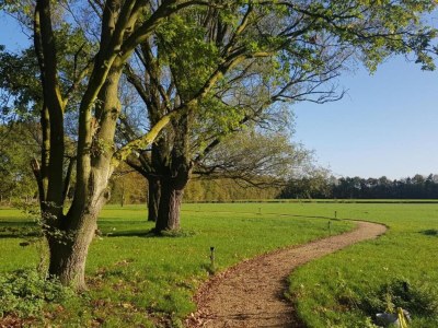 Holiday park Holiday Home with Pond View in Brabant - Environment photo 26