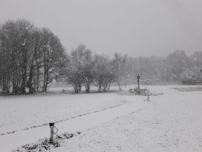 Holiday park Holiday Home in Netherlands Pond View - Environment photo 25