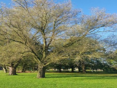 Holiday park Holiday Home in Netherlands Pond View - Environment photo 30