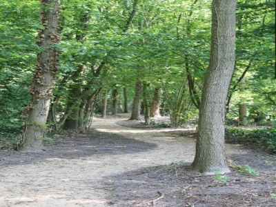 Holiday park Holiday Home in Netherlands Pond View - Environment photo 33