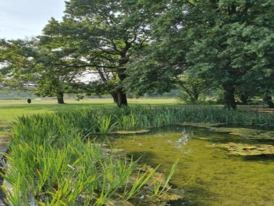 Holiday park Holiday Home in Netherlands Pond View - Environment photo 36