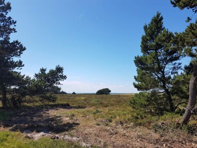 Holiday house 4 person holiday home in Læsø - Outdoor photo 29