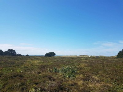 Holiday house 4 person holiday home in Læsø - Outdoor photo 30