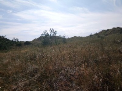 Holiday house 4 person holiday home in Læsø - Outdoor photo 35