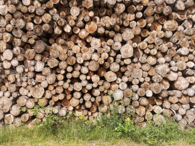 Holiday house 4 person holiday home in Læsø - Outdoor photo 38