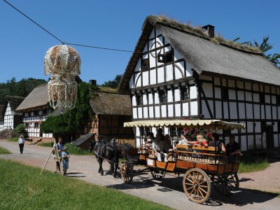 Holiday house Im Grünen Eifel - Environment photo 17