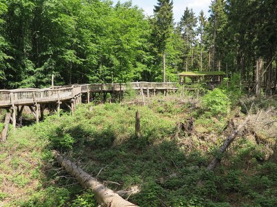 Holiday house Im Grünen Eifel - Environment photo 19