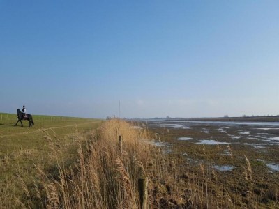 Holiday house Bungalow in South Holland with Private Jetty - Environment photo 17