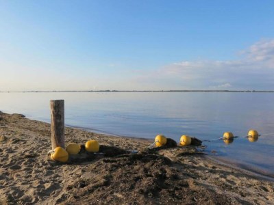 Holiday house Bungalow in Zuytland Buiten with Fishing Platform - Environment photo 20