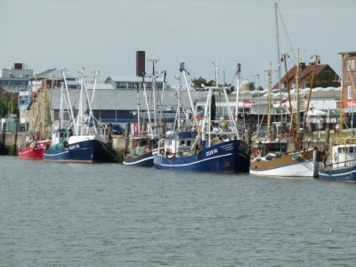 Holiday apartment Hohe Lith 34 - Environment photo 17