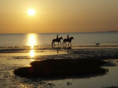 Holiday apartment Hohe Lith 34 - Environment photo 20