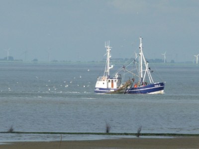 Holiday apartment Hohe Lith 34 - Environment photo 21