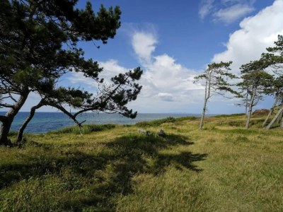 Holiday house 7 Personen Ferienhaus in Gilleleje - Outdoor photo 53
