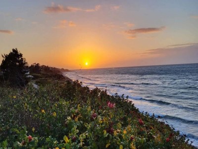 Holiday house 7 Personen Ferienhaus in Gilleleje - Outdoor photo 54