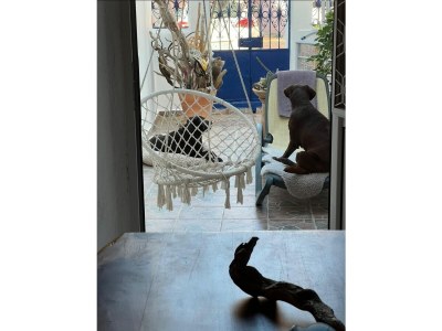 Holiday house Malona - Features photo 13