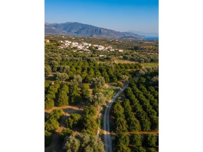 Holiday house Malona - Environment photo 21