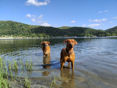 Holiday apartment Daniel - Environment photo 15