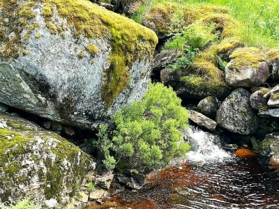 Holiday house 10 person holiday home in KVINESDAL - Outdoor photo 10