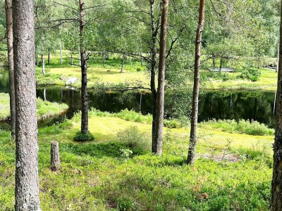 Holiday house 10 person holiday home in KVINESDAL - Outdoor photo 19