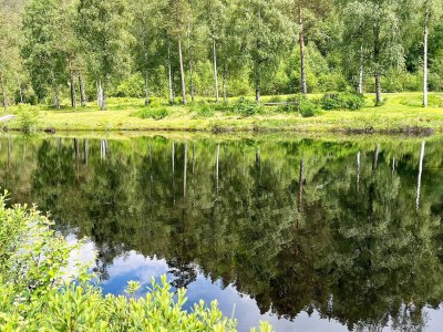 Holiday house 10 person holiday home in KVINESDAL - Outdoor photo 21