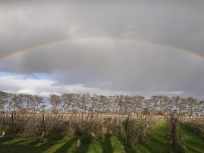Holiday house Bungalow in Zuytland Buiten by the Water - Environment photo 20