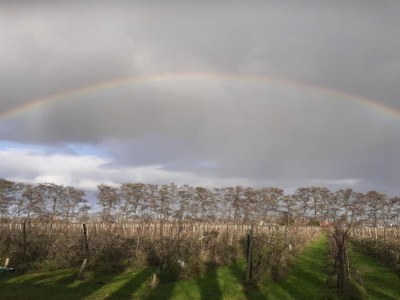 Holiday house Bungalow by Water near Rotterdam - Environment photo 13