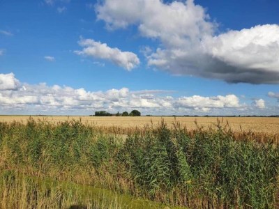 Holiday house Bungalow by Water near Rotterdam - Environment photo 27