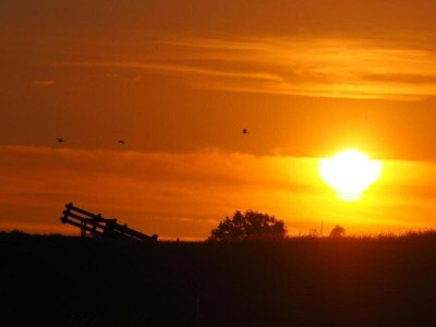 Holiday house Bungalow by Water near Rotterdam - Environment photo 35