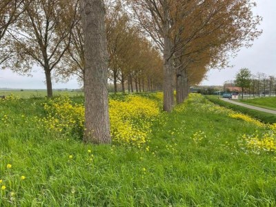 Holiday house Bungalow by Water near Rotterdam - Environment photo 43