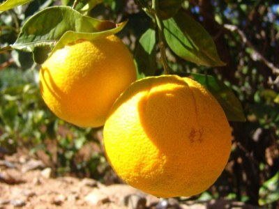 Holiday apartment No title - Environment photo 25