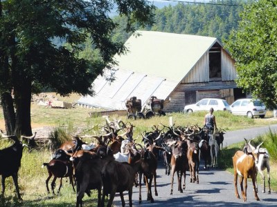 Apartment Rural Pool Retreat in the Hills - Outdoor photo 19