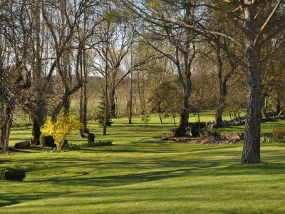 Holiday house Charming Stone House with Terrace - Outdoor photo 11