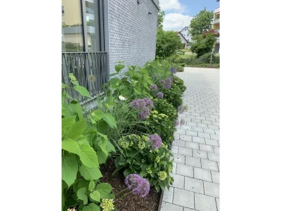 Holiday apartment Ranke 1 - Outdoor photo 3